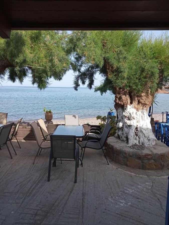 Beachfront Apartment Kato Káto Zákros Exteriör bild